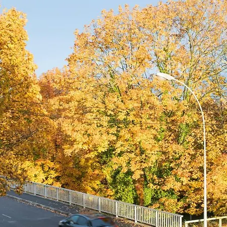 *le Tendance Appart* *